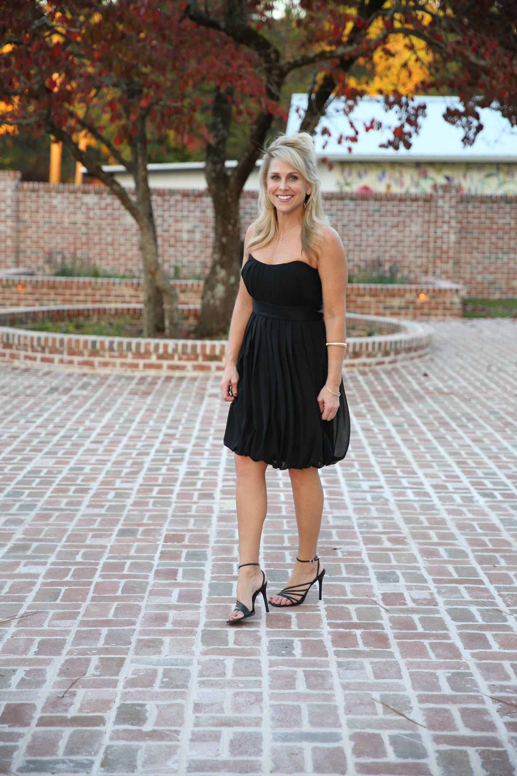Sophia Black Cocktail Dress Rental