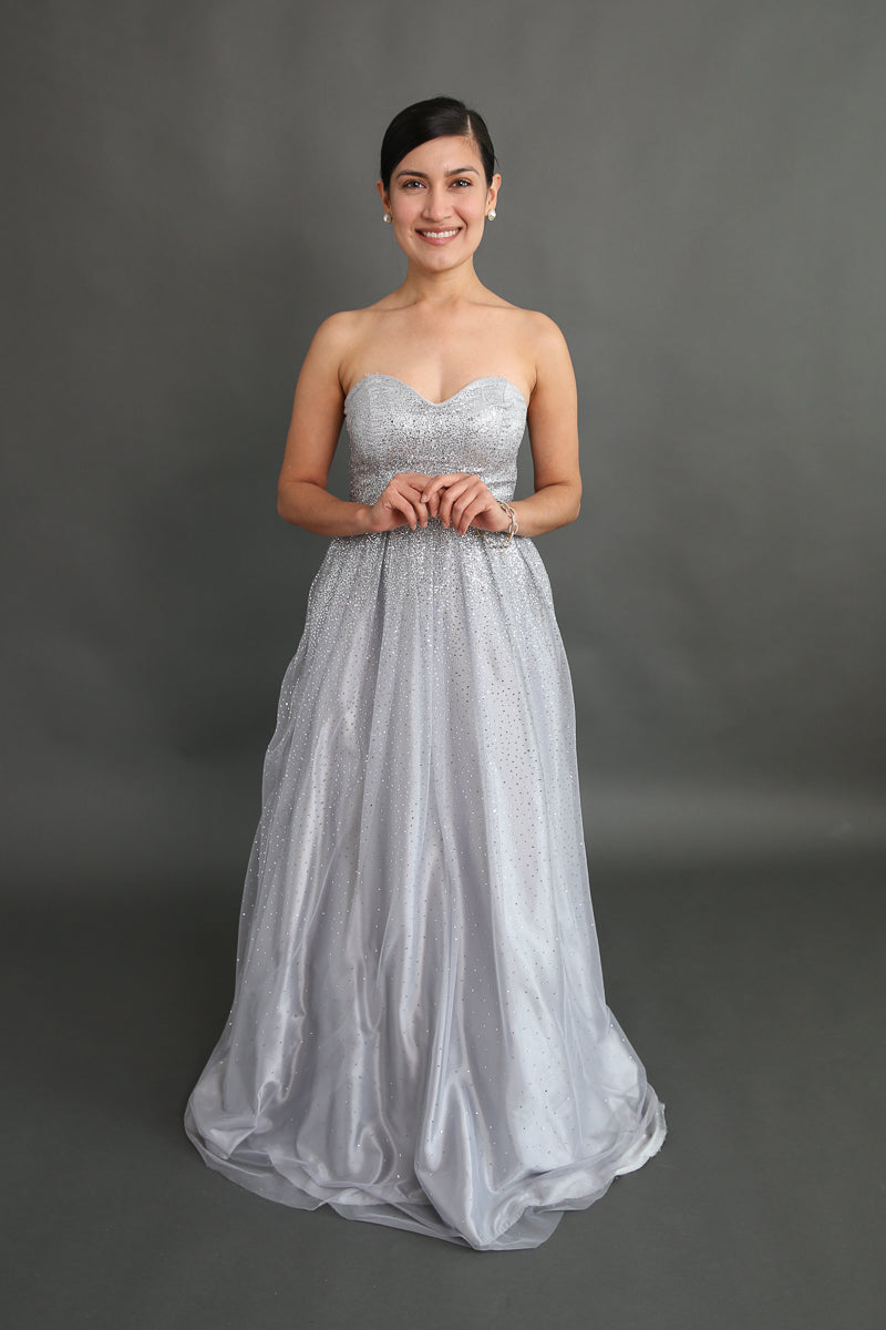 Be A Princess Silver Sparkly Dress Rental - Size 3/xxs (junior)