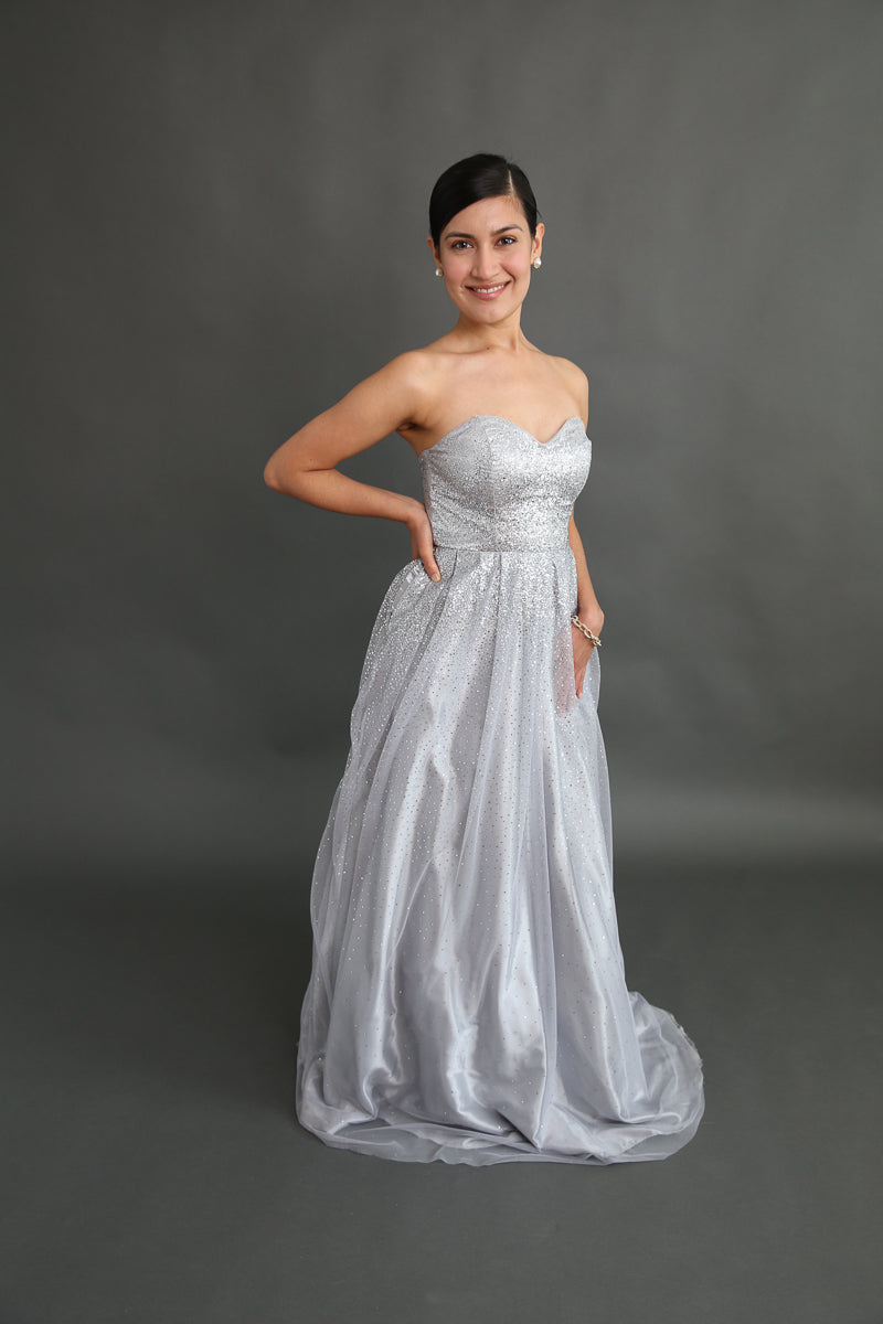 Be A Princess Silver Sparkly Dress Rental - Size 3/xxs (junior)